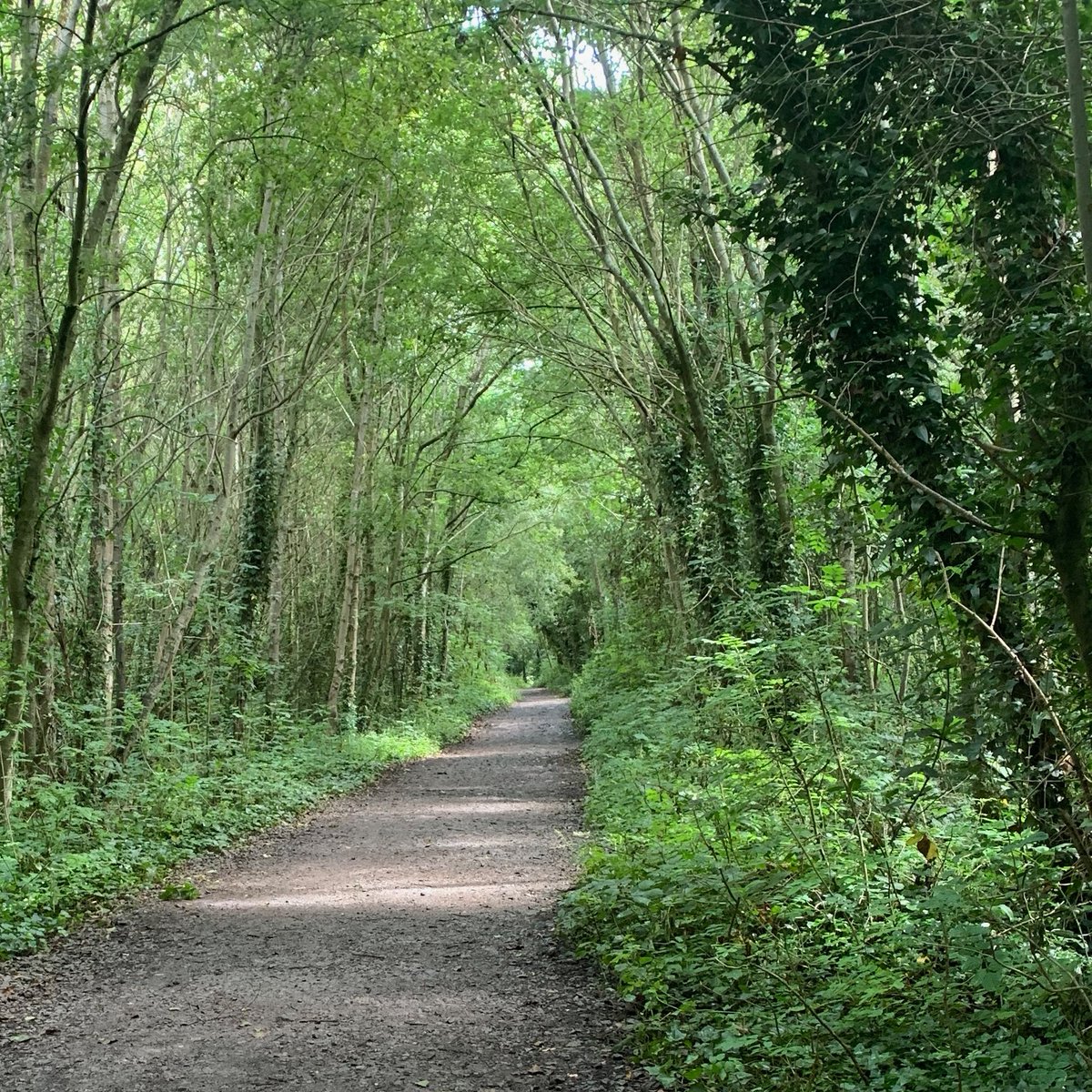 Want to make a submission on the Forestry Bill but don't know where to start? Read our guide and make your voice heard on this important legislation.   

antaisce.org/articles/have-…