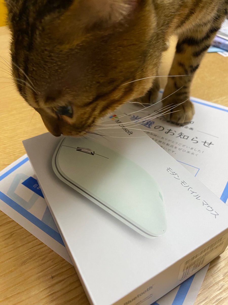 coolmint_tomo's tweet image. de:code 2020の感謝企画に当選!! #decode20 

良いものをいただきました。大事にします♪