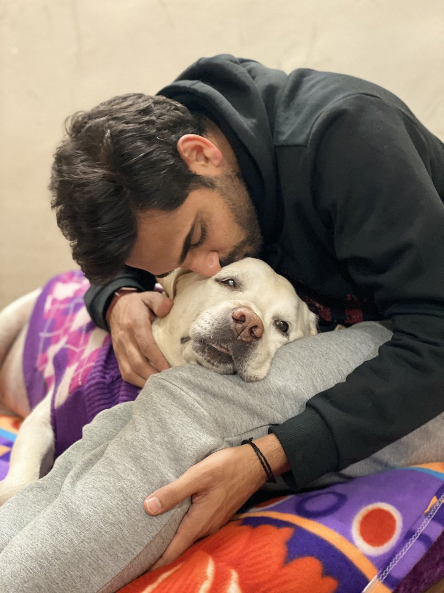 Bhuvneshwar Kumar tweet media