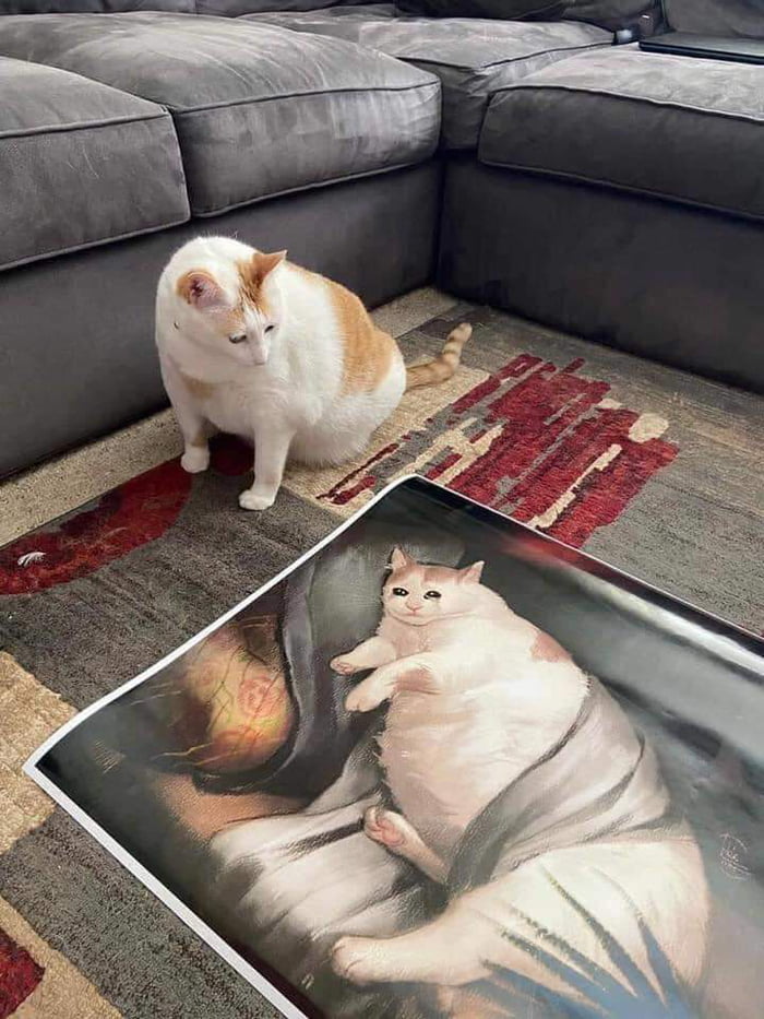 SlenderSherbet's tweet photo. "fuck is this shit?" 

📸: Imgur user KpoteikO https://t.co/g7nNEVTHum