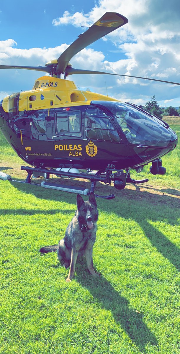 Its #InternationalDogDay so #PDRudi is asking to see your furry pals! So lets see them🐶 #DogDay #PoliceDogsOfTwitter 🐾🏴󠁧󠁢󠁳󠁣󠁴󠁿
