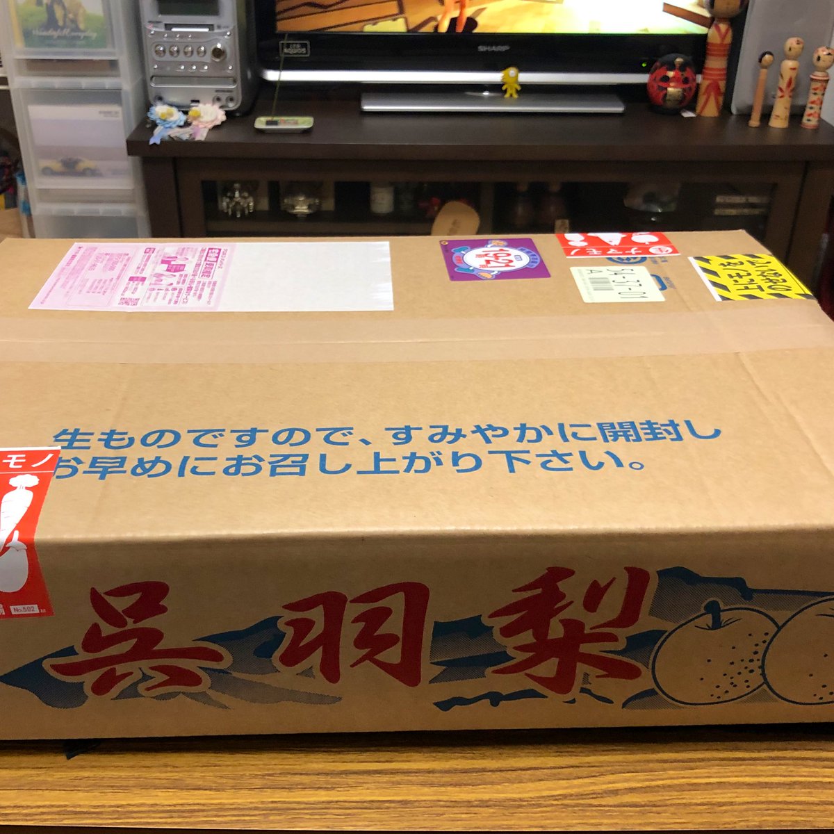 nagoyori's tweet photo. 呉羽梨が届いた。美味しい梨は富山にあるっ富山にあるっ😋🍐 https://t.co/5WdFVSeGjD