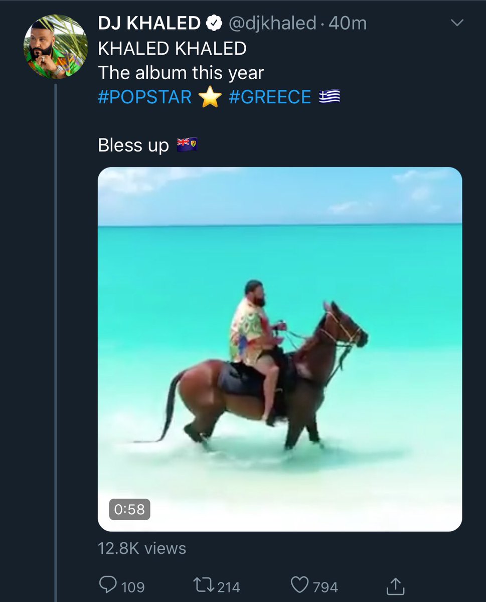 KitMinaj's tweet photo. Y'ALL SEE THAT? PORR HORSE 😿 https://t.co/U1BkKiXQ4C