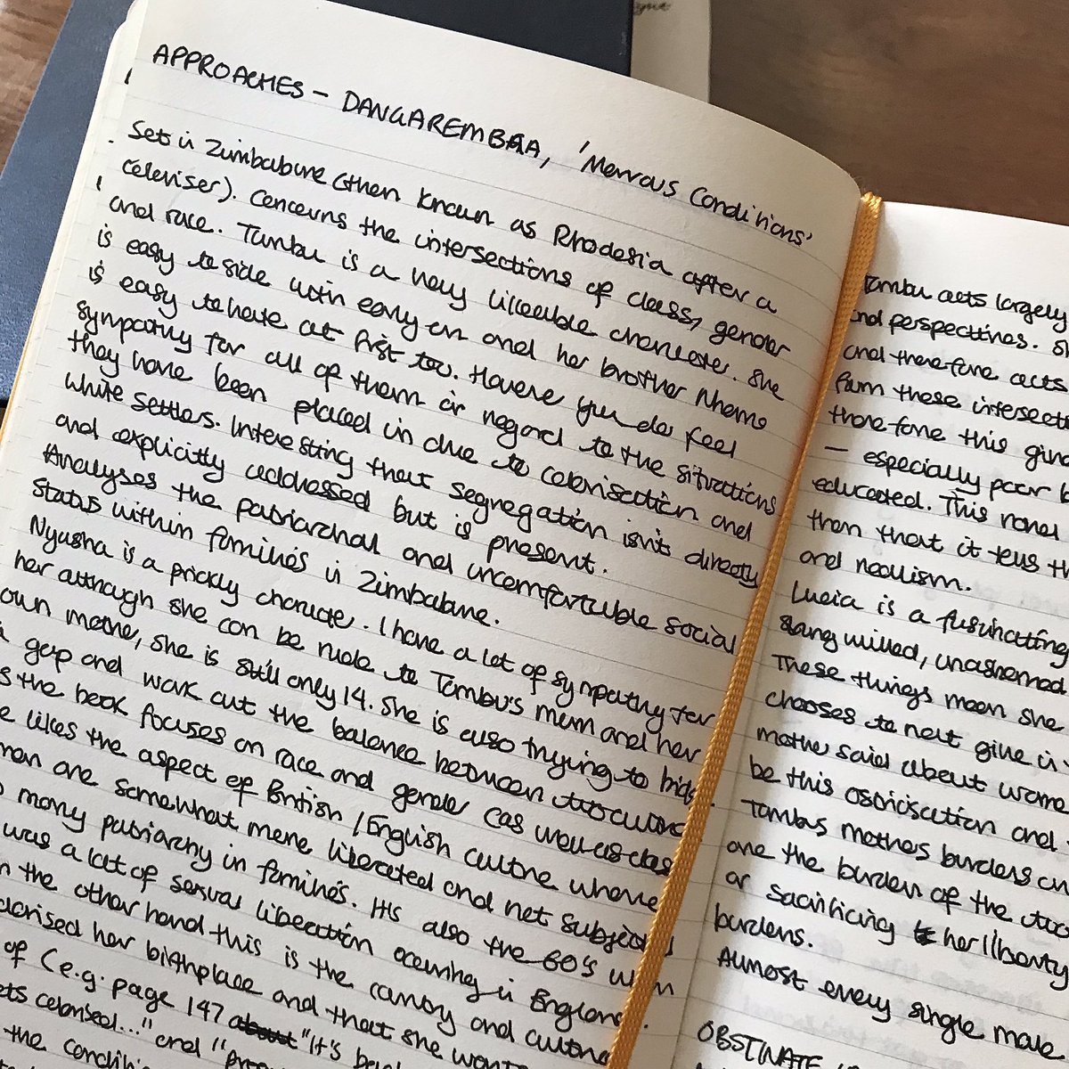 + PRIMARY READINGall of the essential texts I read I would try to write my thoughts & feelings on in my Reading Journal. I highly recommend doing this as a literature student bc it’s really important to reflect on what you read. I used a different colour from my main journals.