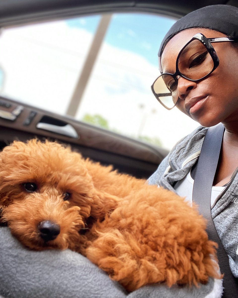 GenevieveNnaji1's tweet photo. 𝐻𝑒𝓎 𝓉𝒽𝑒𝓇𝑒  🐾 https://t.co/68n0ezFZTO