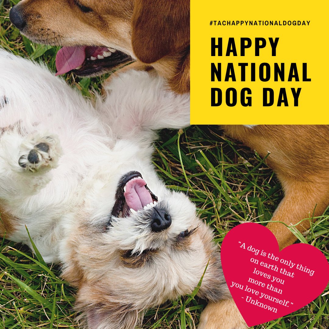 TXAllstarCheer's tweet photo. Make sure you use #TACHappyNationalDogDay and let's see you with your furry friend having a BLAST! :) https://t.co/jM0JapBl25