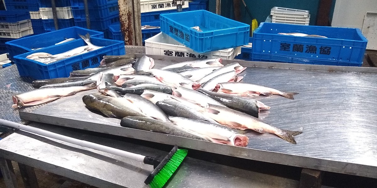 標津湿原