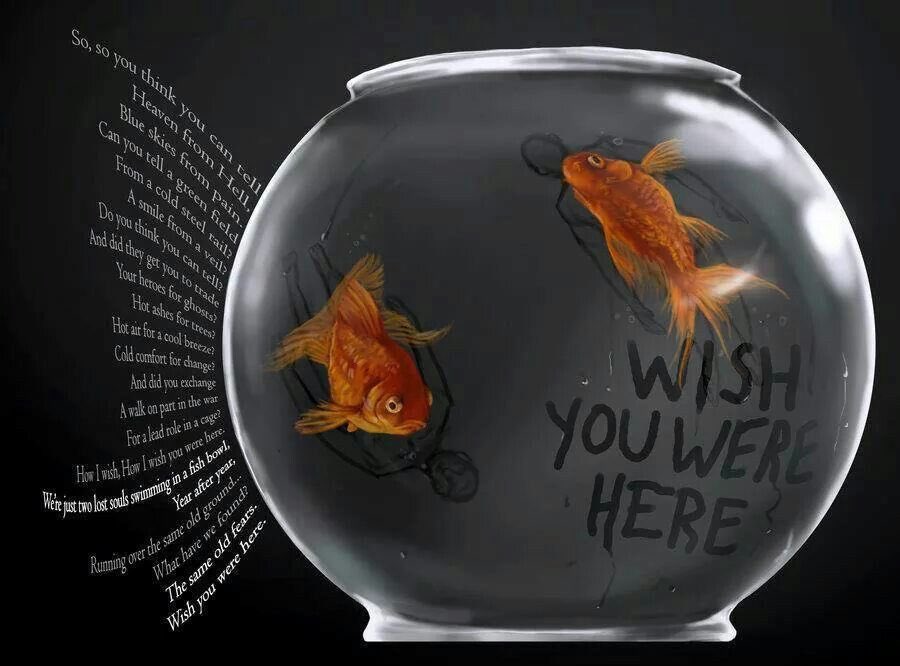Just_pinkfloyd's tweet photo. Wish You Were Here.. https://t.co/Eu9VW7i1mV