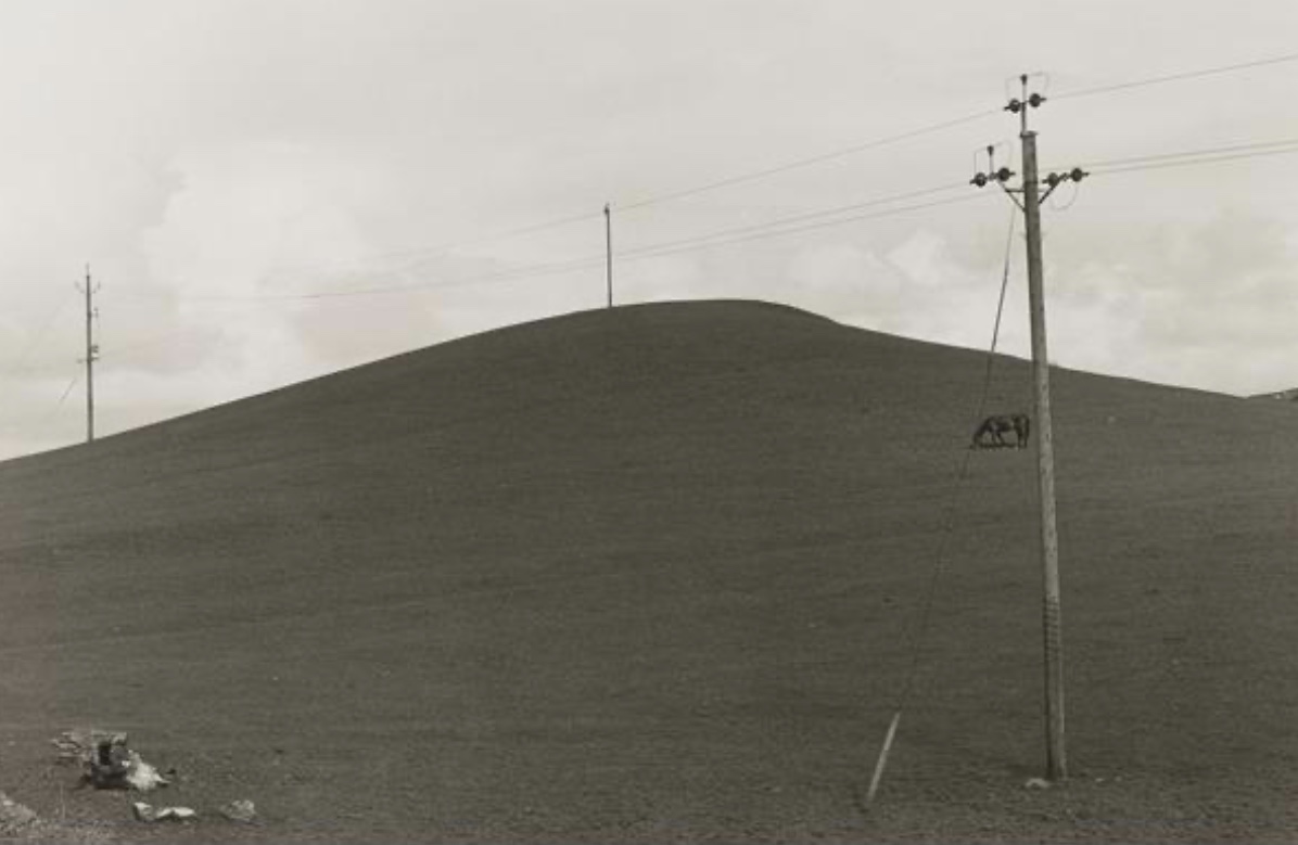 RealMrsHoney1's tweet photo. “I am quite unable to explain why I choose particular objects in preference to others, it’s like asking a musician to explain or justify a series of notes” Raymond Moore 1968
#OTD #RaymondMoore #photography #blackandwhitephotography
Galloway - 1979 https://t.co/u74qI9iOdb