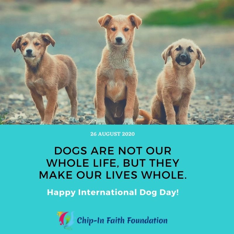 chipinfaith's tweet photo. The World would be a nicer place if everyone of us had the ability to love as unconditionally as a dog. Happy International Dog Day 2020.

#internationaldogday2020 #dogdays #happydogs #happydogday #happyinternationaldogday #dogday2020 #chipinfaithfoundation https://t.co/AG6jDnaOfz