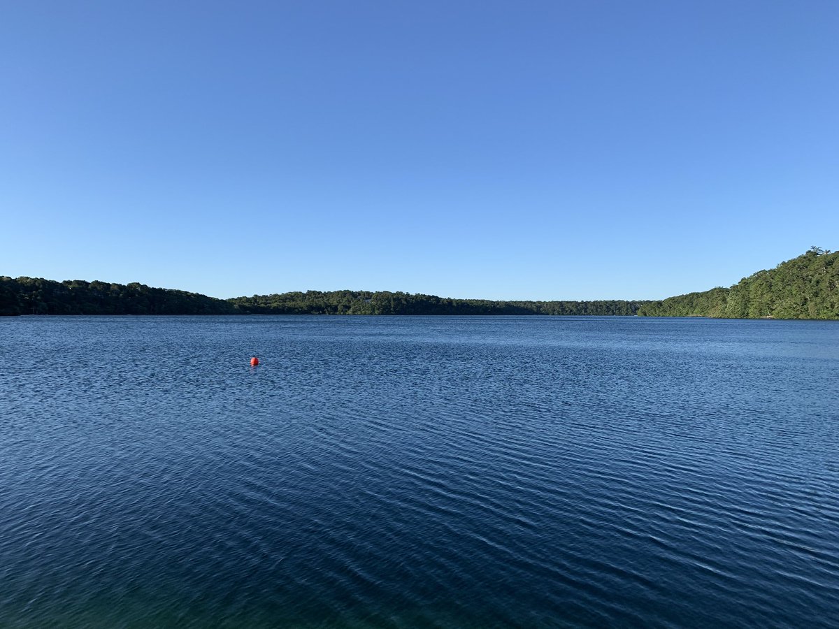 HappyCapeCod's tweet image. Great morning workout thanks to a whipping headwind on #SheepPond #brewster #sup #capecod