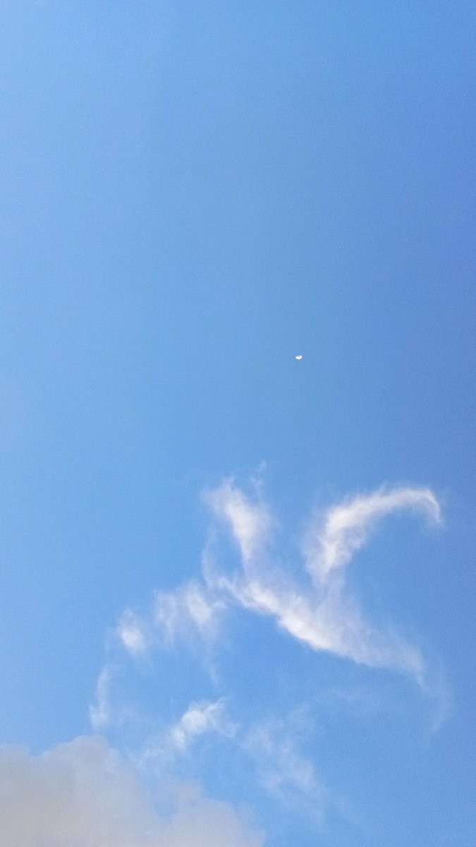 🌙 月亮 tweet media