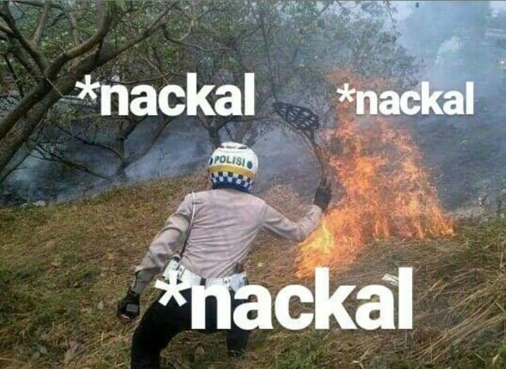 lalea tweet media