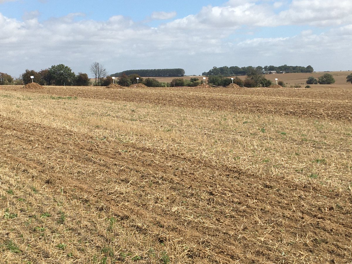 PvCa80's tweet photo. Démarrage de la démonstration #dechaumage du #laiteron pour les filières #légumes avec @AgroTransfertRT dans le cadre du projet #ViveLeBio 

Un peu de vent 💨 et beaucoup de monde 🌍 ou l’inverse 😉 - venez le savoir à #Heudicourt (80) https://t.co/v6EqYagan4
