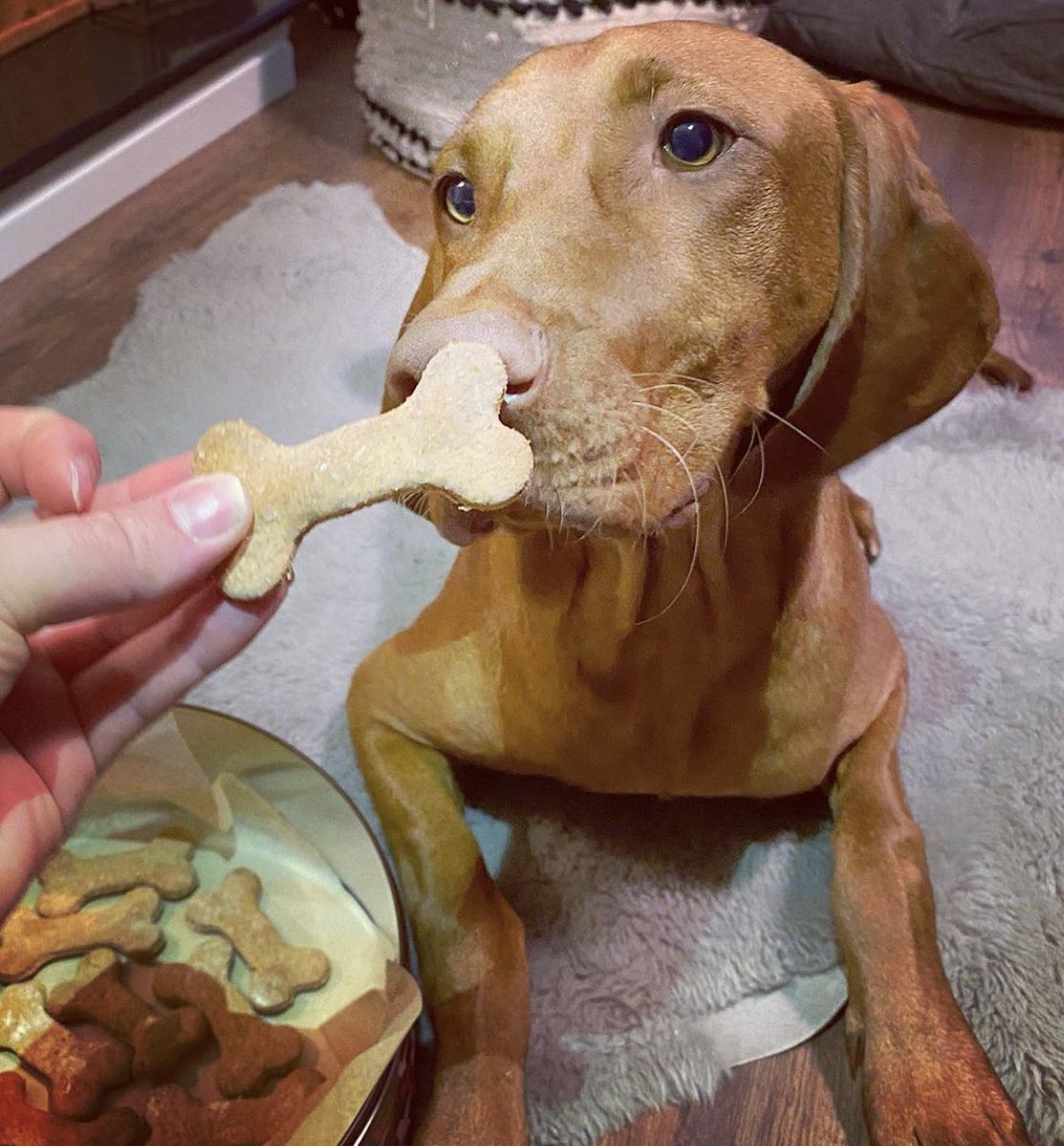 Mmm, yes these smell GOOD! 😍😋 #GetInMyBelly #WednesdayMotivation #WednesdayThoughts #PawBakes