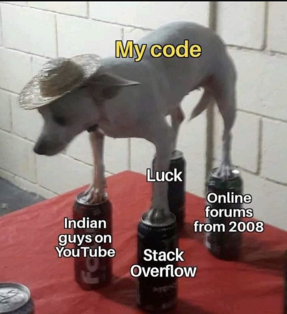 memes_developer's tweet image. The foundation for every code 
#100DaysOfCode