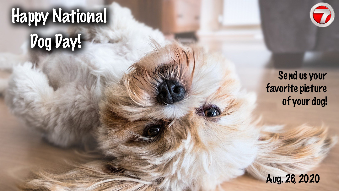 Happy #NationalDogDay 🐶 Reply here and send us your favorite photo of your dog!