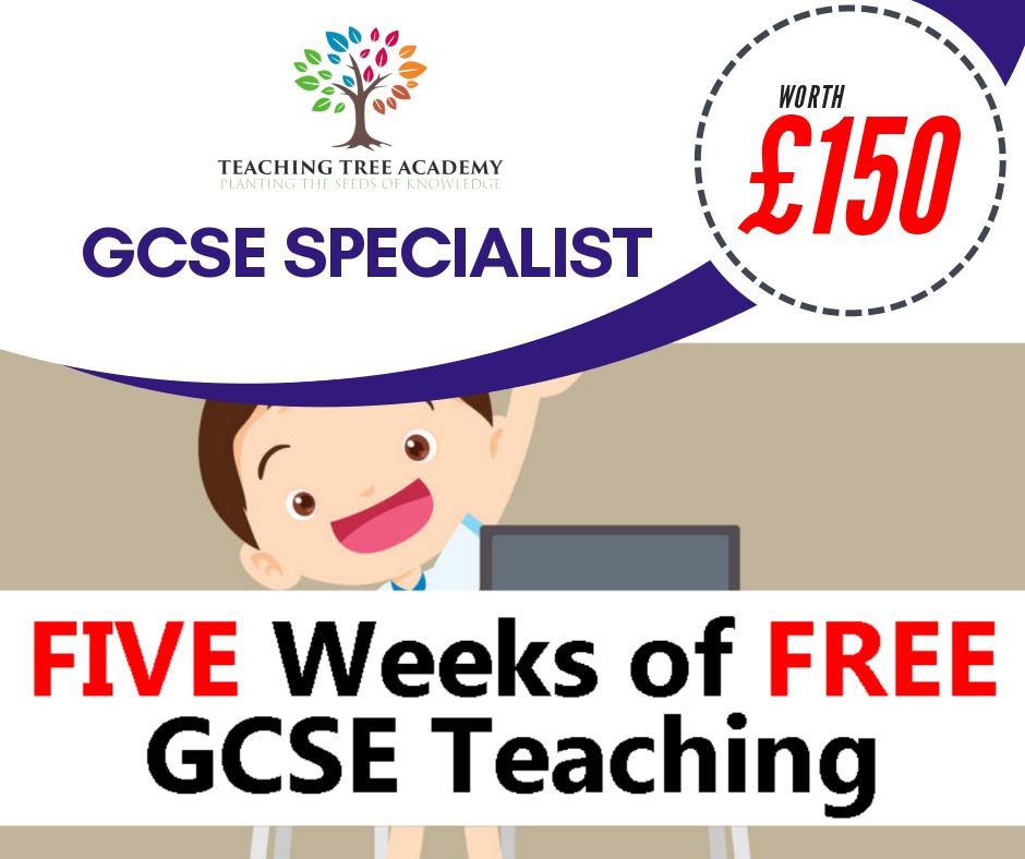 TeachingtreeA's tweet image. 