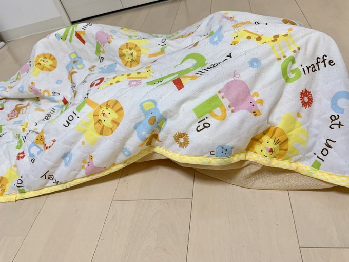 赤ちゃんのお昼寝マットは代用できる 西松屋やニトリでおすすめと洗濯できる人気のマットをご紹介 ココアサ Co A
