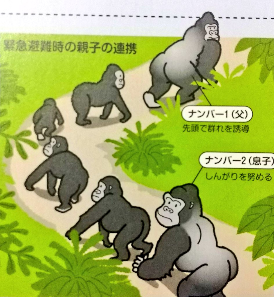 はいゆたか 579 疲れたなあ えー特になにもありません ゴリラかわいいです 毎日ゆたか イラスト はいゆたか 579 疲れたなあ えー特になにもありません ゴリラかわいいです 毎日ゆたか イラスト