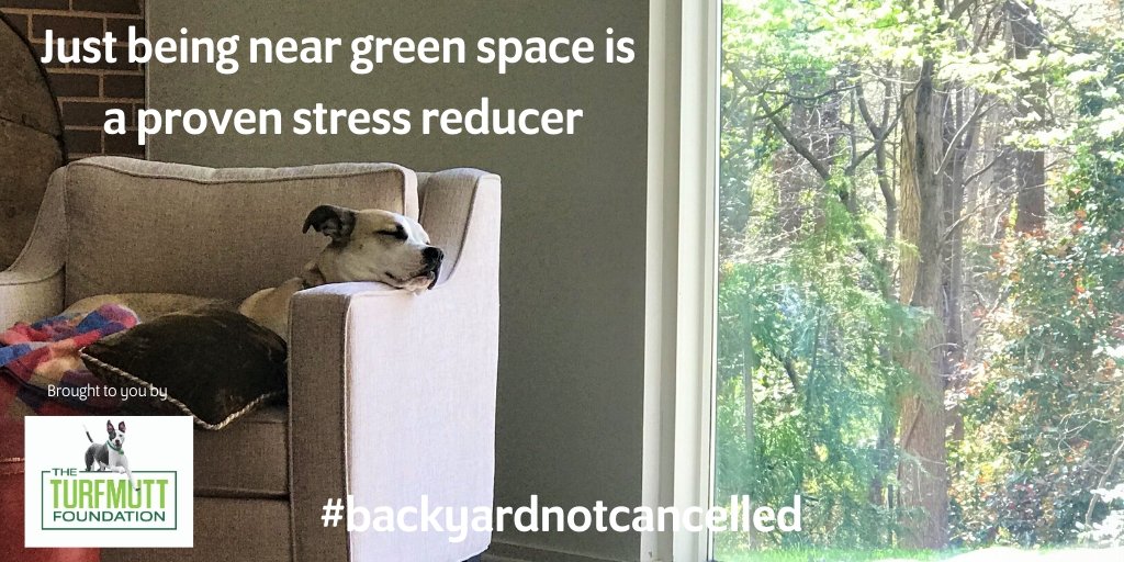 TurfMutt's tweet photo. Just being near green space is a proven stress reducer. #BackyardNotCancelled https://t.co/eDr8yCBctk