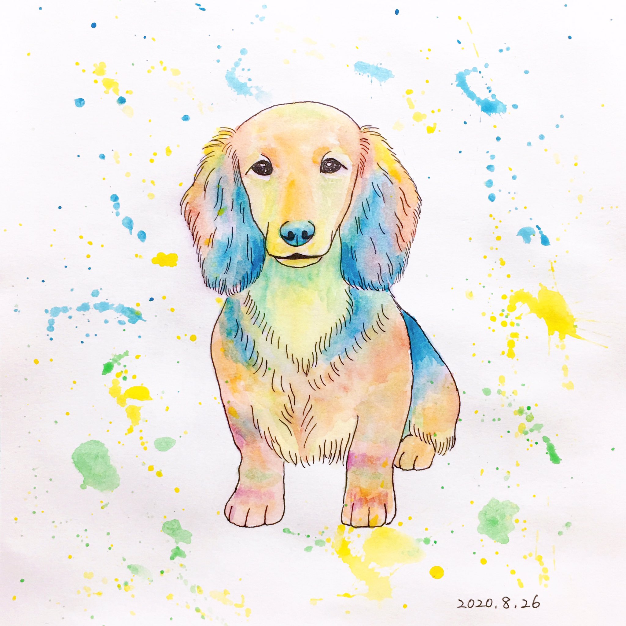 Chippoke ようこ 犬絵 63 ミニチュアダックスフンド 透明水彩 透明水彩画 犬イラスト イラスト 犬の絵 犬 ミニチュアダックス ダックスフンド Chippoke犬絵 T Co 0lelzjczub Twitter