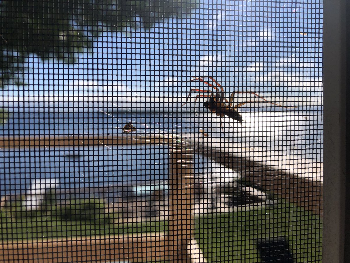 Dystopian World Building Worksheet - Part III - Kate Messner