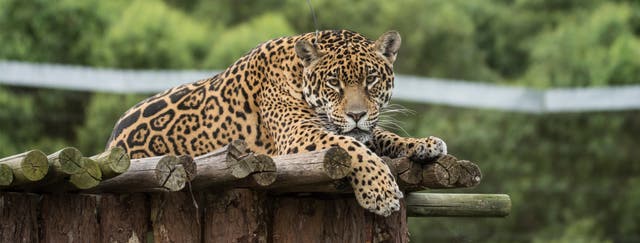 LNnaturaleza tweet media