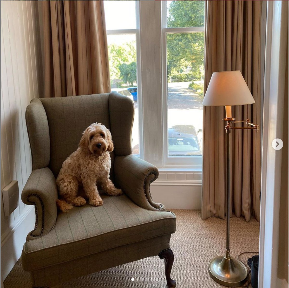 Happy #InternationalDogDay!

We welcome our four-legged friends to The Craigellachie, with dog beds available and treats for your good boys and girls always on hand.

Thanks to our guests for sharing these photos of their dogs enjoying a visit to The Craigellachie &amp; <a href="/Copperdogpub/">Copper Dog Pub</a>