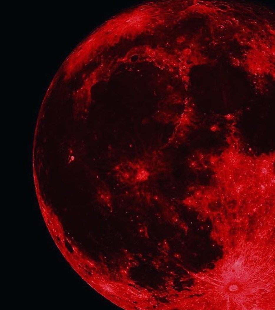 littlest5sosfan's tweet image. Type ur birth month + red + aesthetic on Google. Reply to this with the pics &amp;amp; tag 5 Red team moots. Don't re-tag. Keep this going!
@myinsidedemons
@speaknowlftv
@wildflowerRay
@RedDesertDuke
@InvisibleLex

#StreamTeeth #RedSOSHasTeeth 
#teethCALM #RedSOS