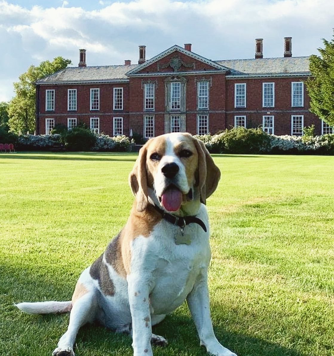 Descubre el hermoso Bosworth Hall Hotel, image size:1118x1191