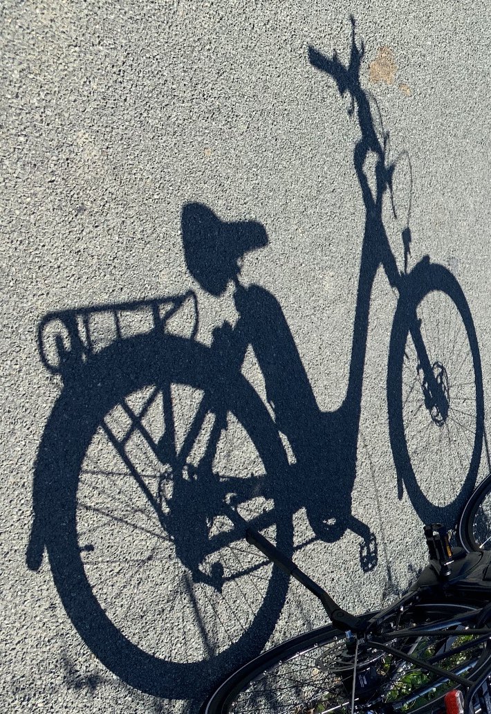 LindyLouMac's tweet photo. My bicycle as a shadow for the prompt, I rather like the effect. #fmsphotoaday #fms_shadow #shadow #shadowplay #shadowart #shadowartphotography #bicycle #bicycleshadow https://t.co/BckuGXoi4Y
