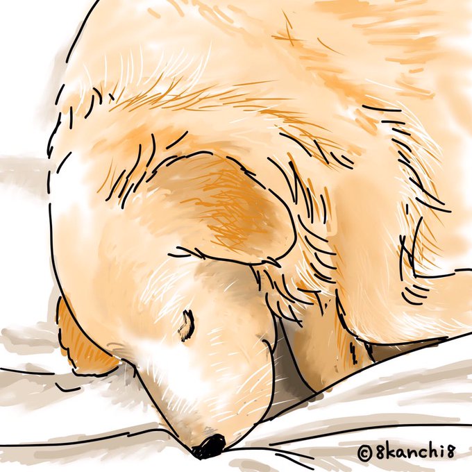 ゴールデンレトリーバーのtwitterイラスト検索結果 ゴールデンレトリーバーのtwitterイラスト検索結果
