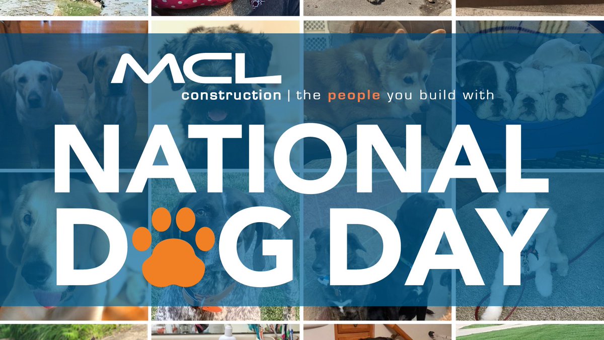 Happy #NationalDogDay! To celebrate the day, we are sharing photos of our team's pups. Trust us, you're in for a treat.