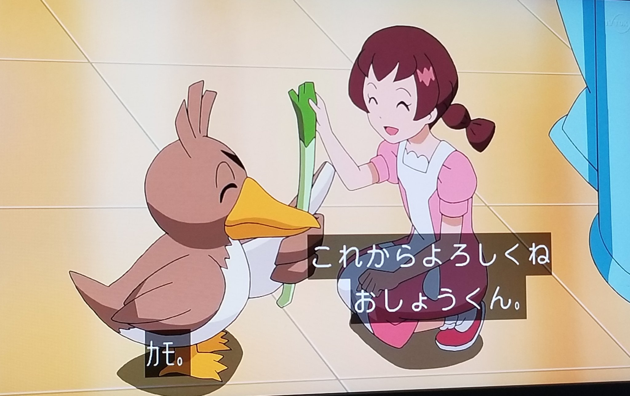 裕貴美 課金ガチャ禁解除 撮ってあったアニポケ見たんですけど これポケモン第1世代知ってる人にしかわからんよwwwこの名前のネタwww カモネギ おしょう がわかる人は赤緑青世代で僕と握手 T Co L3akokvoaj Twitter