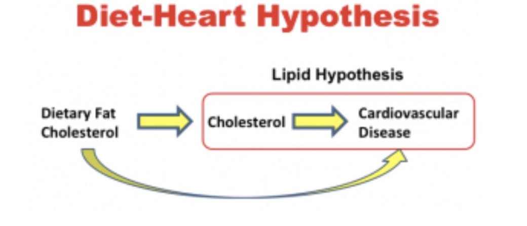 All three ultimately led to the diet-heart hypothesis and Food Pyramid.Cholesterol was the critical second link of the diet-heart hypothesis. The hypothesis was that saturated fat increased cholesterol. And based on the studies above, that cholesterol then caused heart disease