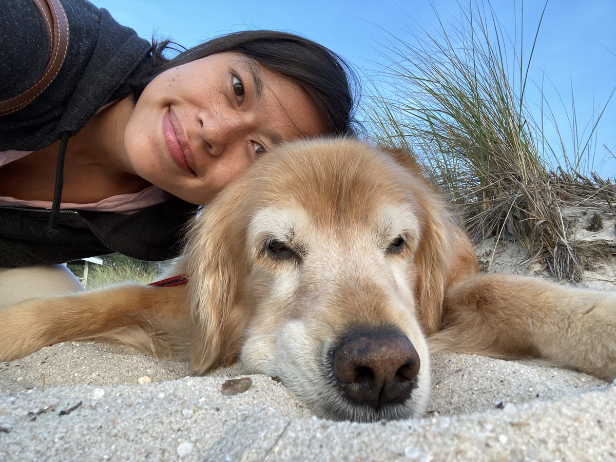 Thinks Wife tweet media