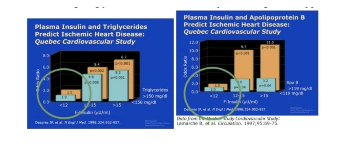 When insulin is low, high LDL particle count and high triglycerides don’t indicate that you’re at higher risk.But when insulin is high, the risk of high triglycerides and high LDL is magnified.