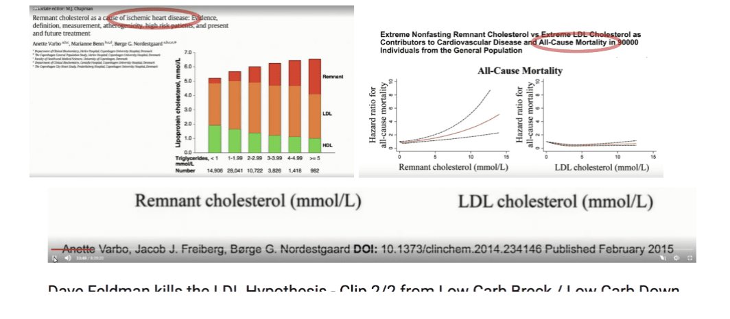  @DaveKeto showed below that remnant cholesterol correlated highly with all cause mortality.