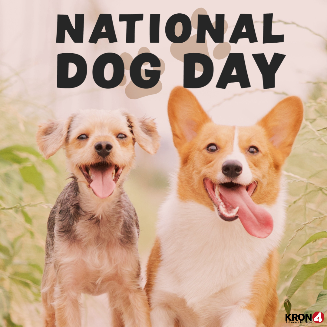 KRON4 News tweet media