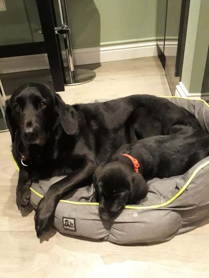 metrorod-ne tweet media