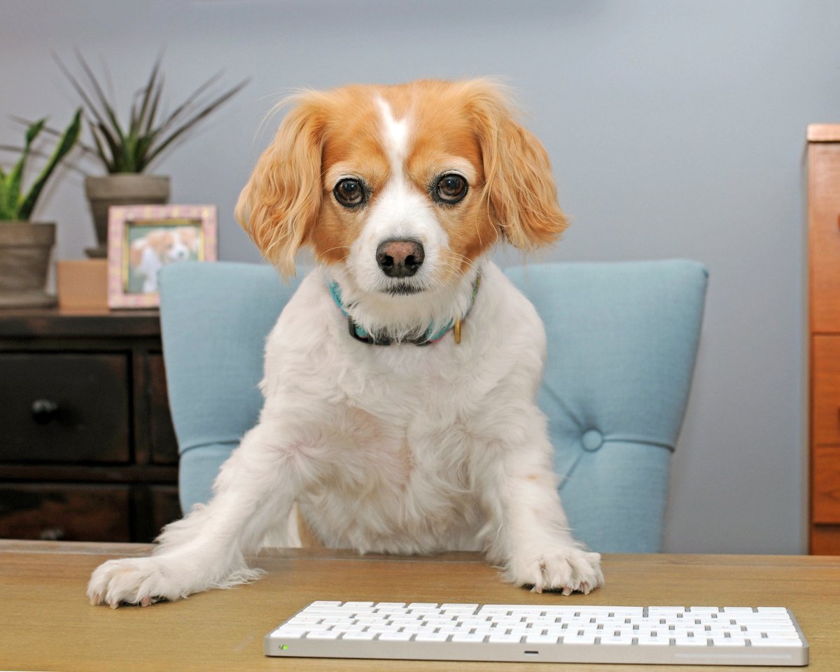 Life @ Trellix tweet media