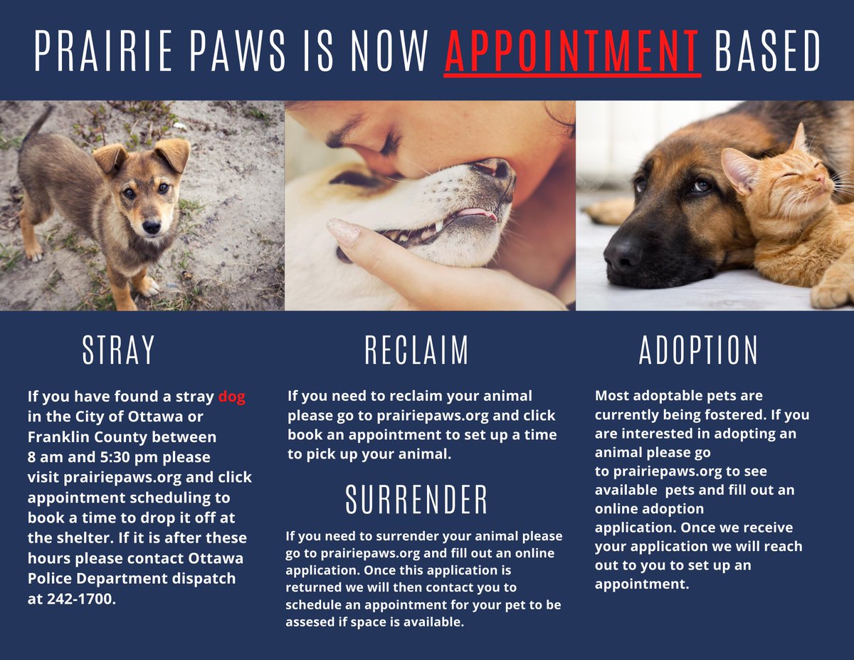 ottawa county dog license renewal