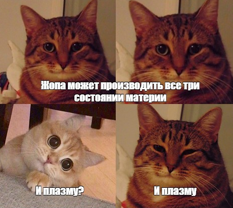 JoN_TM's tweet photo. Твиттер образовательный https://t.co/q3YkrspS3P