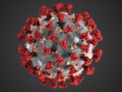 NEWS: Almost 50 workers at a poultry factory in #Norfolk have now tested positive for #coronavirus.

thebeach.co.uk/news/local-new…