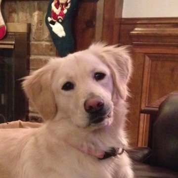 Innovation tweet media