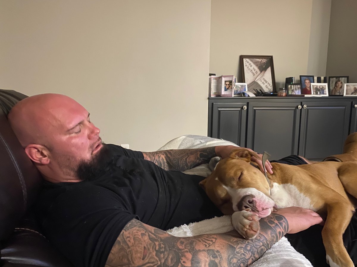 ThisIsTNA's tweet photo. .@The_BigLG and Samson! #DogsOfIMPACT #InternationalDogDay #NationalDogDay https://t.co/xJXkjgeMMY