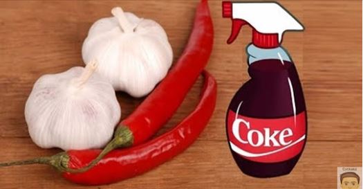 Environment Protection Solutions tweet media