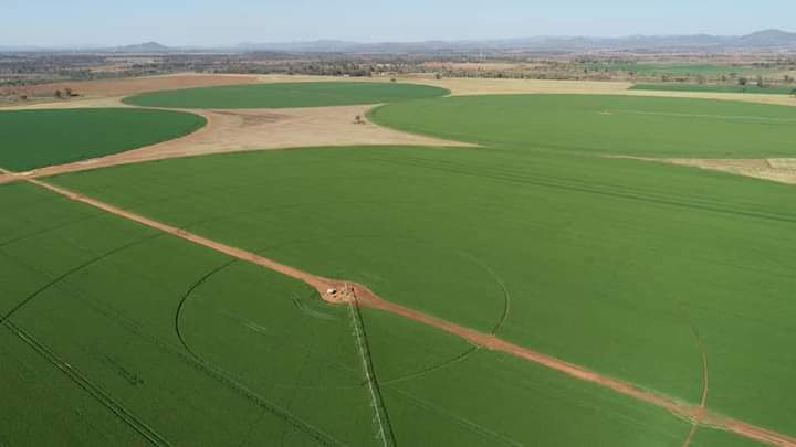 basera_john's tweet image. We have 3 options:
1. Production 
2. Production 
3. Production  
We will choose all and run with all the options.