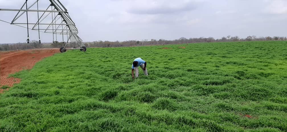 basera_john's tweet image. We have 3 options:
1. Production 
2. Production 
3. Production  
We will choose all and run with all the options.